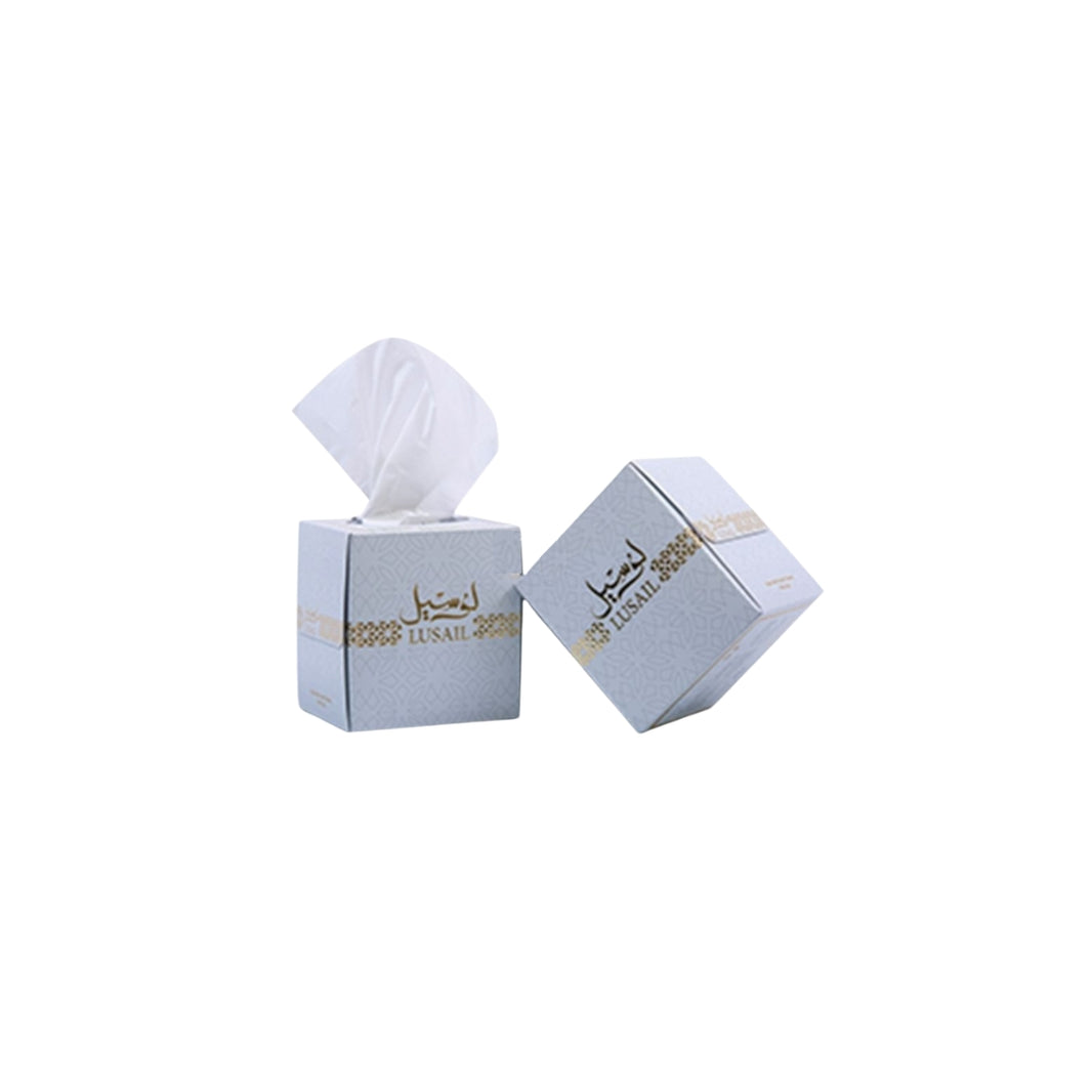 Lusail Facial cube box 100 sheets , 200 x 200 mm 48 pcs Per carton
