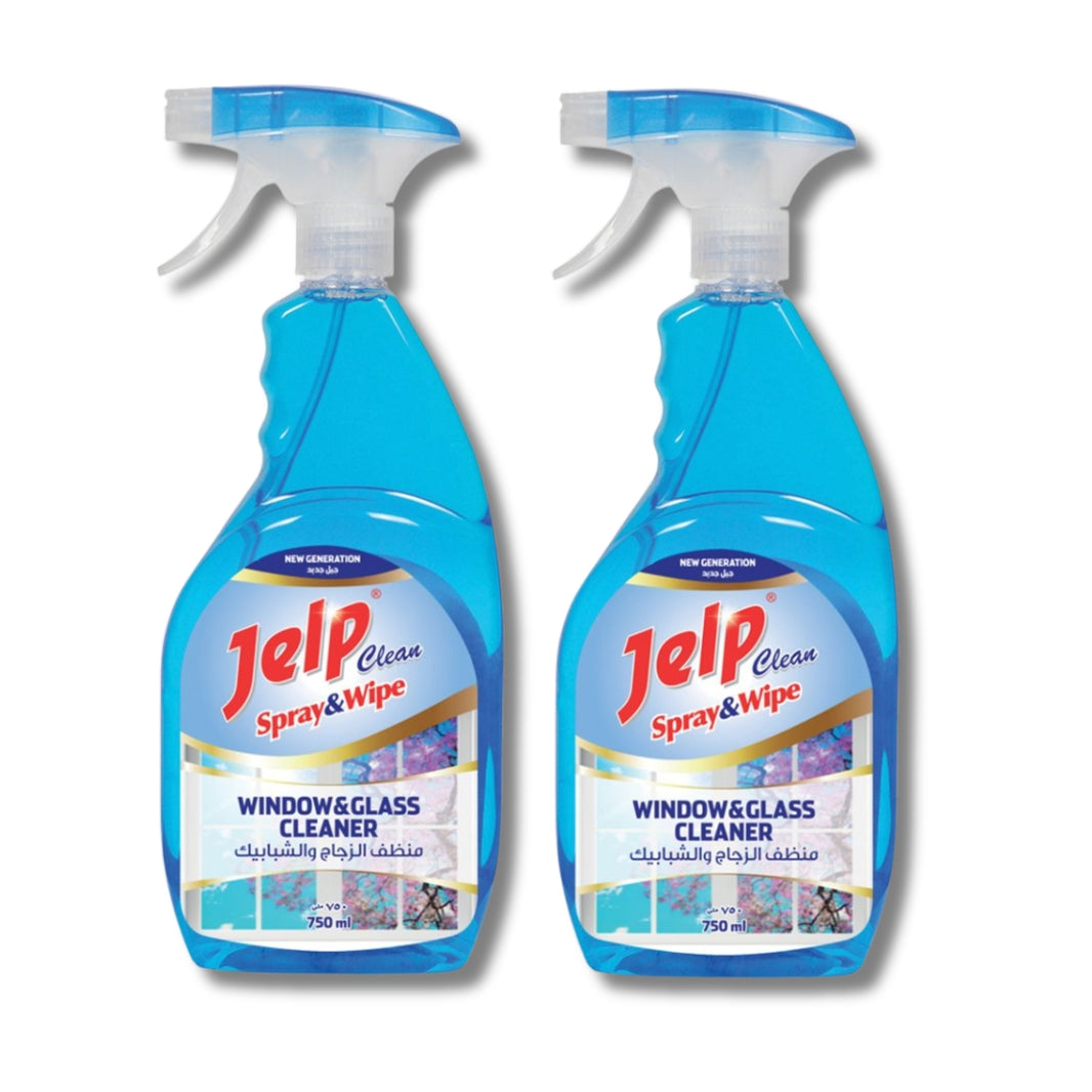 Glass Cleaner 12 x 750 ML