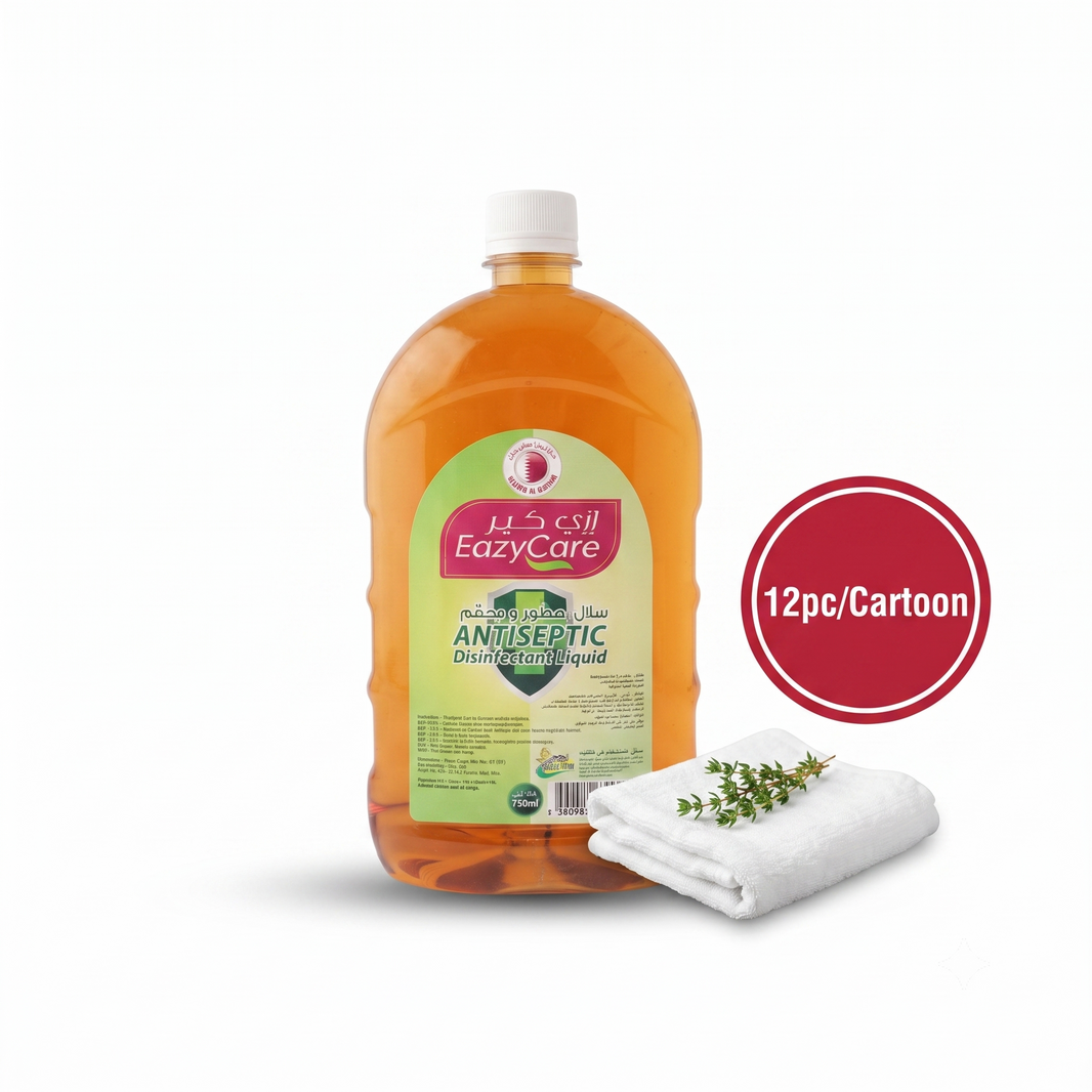 Easy Care Dettol 750 ML(12 pc per cartoon)