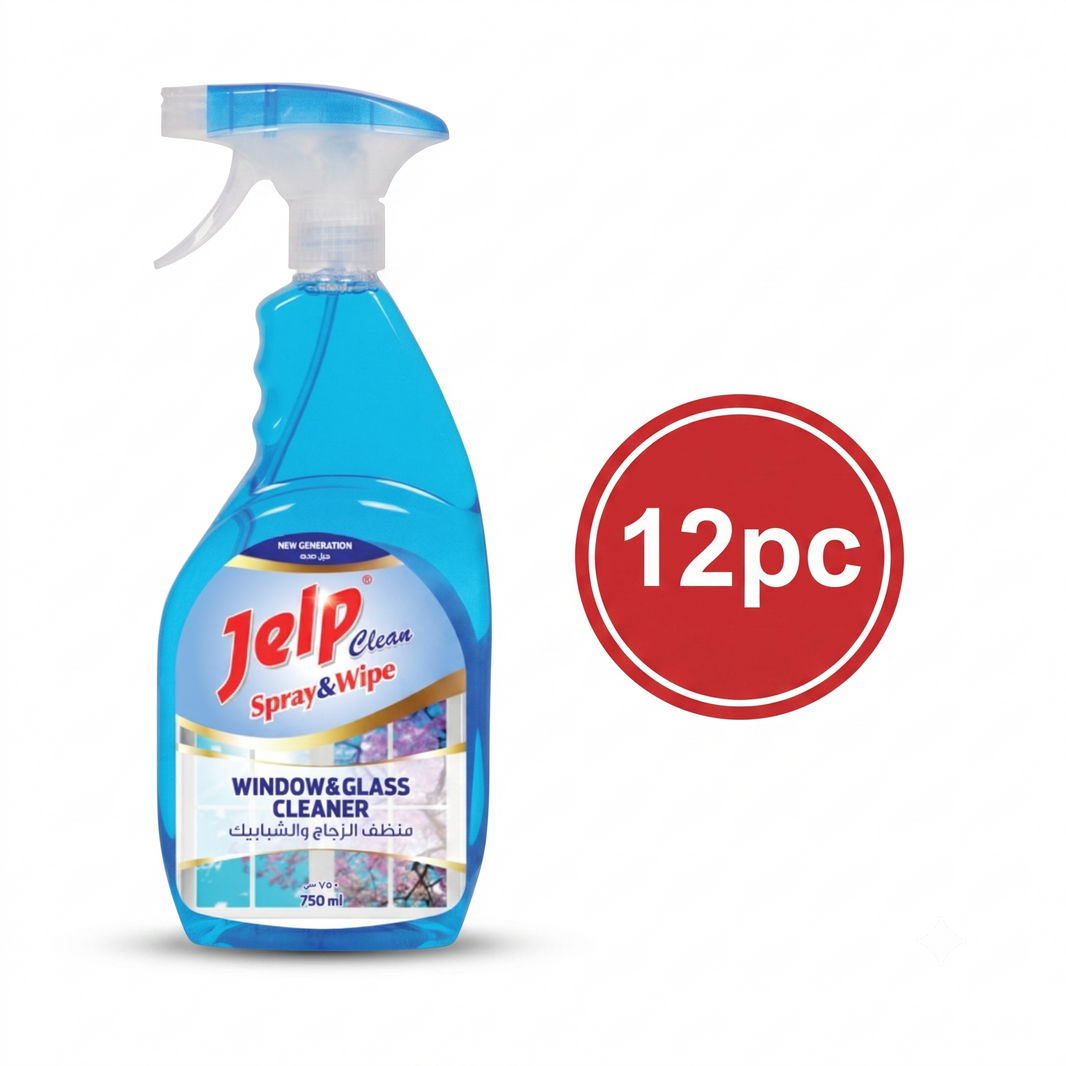 Glass Cleaner 12 x 750 ML