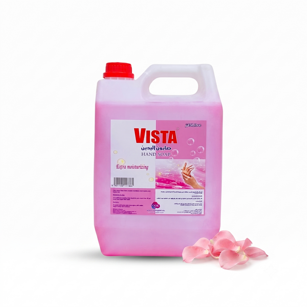 Vista Hand Wash Liquid 5 Ltr(4 Pc Per Cartoon)