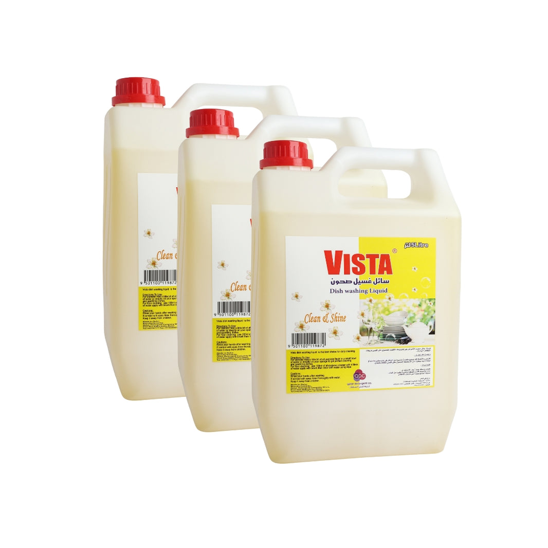 Vista Dish Wash Liquid 5Ltr(4 pc per cartoon)