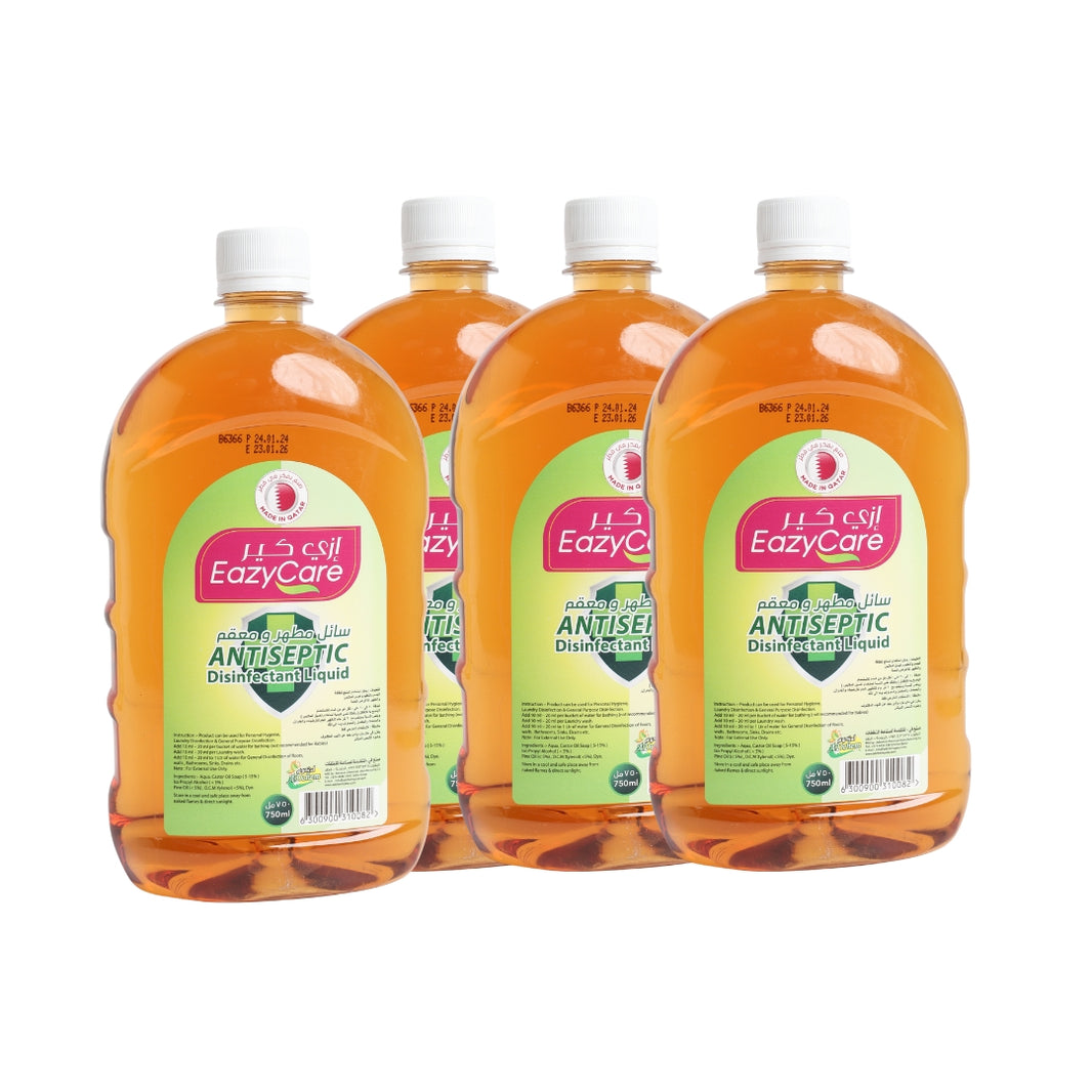 Easy Care Dettol 750 ML(12 pc per cartoon)